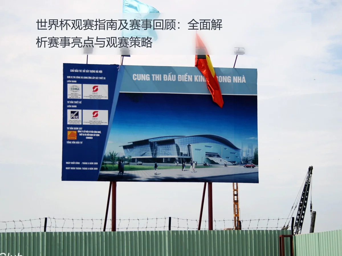 世界杯观赛指南及赛事回顾：全面解析赛事亮点与观赛策略